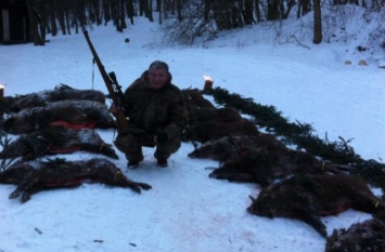 В Украине разрешили убивать лося из Красной книги: в сети показали инициатора