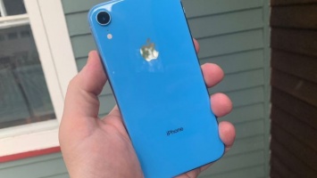 Apple выпустила отчет о продажах iPhone XR