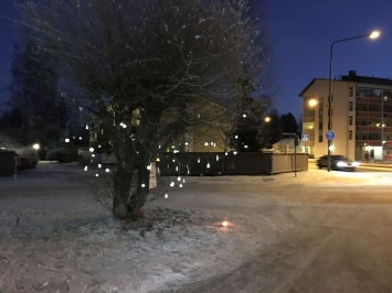 "Всем выйти из сумрака!": в Финляндии начали появляться деревья с отражателями