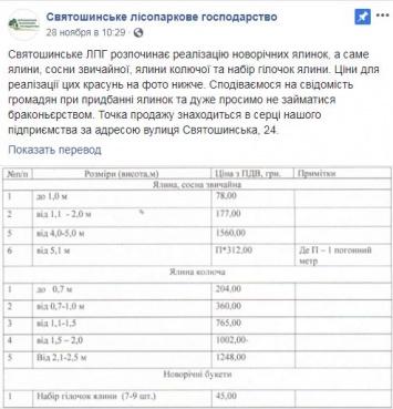 В Киеве начали продавать елки к Новому году по цене от 80 до 1500 грн