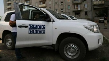 Пусть занимается Киев: ОБСЕ не интересуют детские нацлагеря на Украине