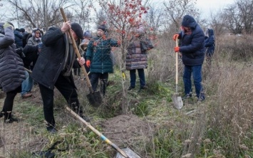 В Запорожье высадили деревья на новой аллее врачей