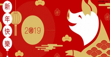 Китайский Зодиак-2019: Что год Свиньи приготовил для вас