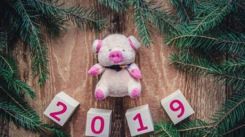 Новый год 2019: какие неприятности готовит нам Желтая Свинья