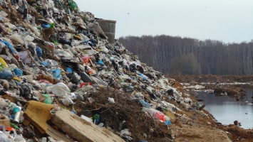 В Архангельске на митинг против ввоза мусора вышли 5 тысяч человек
