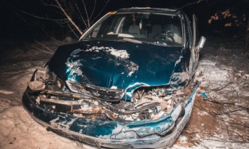 Ночью под Киевом автомобиль вылетел с дороги, пострадал водитель (фото)