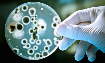 Ученые определили более шести тысяч генов бактерий кишечника, устойчивых к антибиотикам
