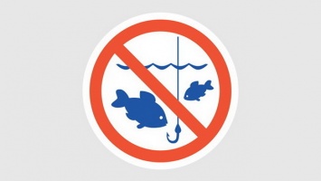 Запрет рыбной ловли в зимний период