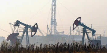 В России научились предсказывать колебания цен на нефть