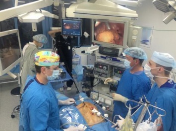 Хирурги восстановили артерию пациента фрагментом бедренной вены