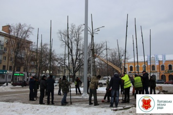 В Полтаве начали устанавливать главную елку с шатром (фото)