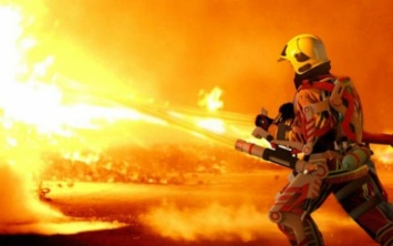 ЧП в Запорожской области: женщина едва не сгорела в собственном доме