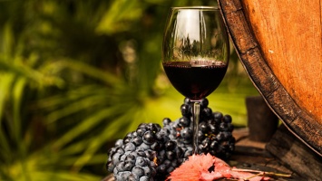 На Кубани готовятся к финалу всероссийского конкурса виноделов "Молодая лоза"