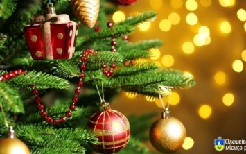 В день открытия новогодней елки в Олешках подведут итоги конкурса «Сказочные мечты»